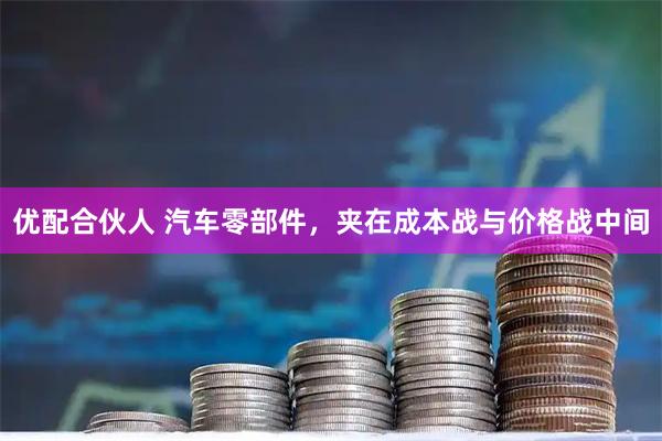 优配合伙人 汽车零部件，夹在成本战与价格战中间